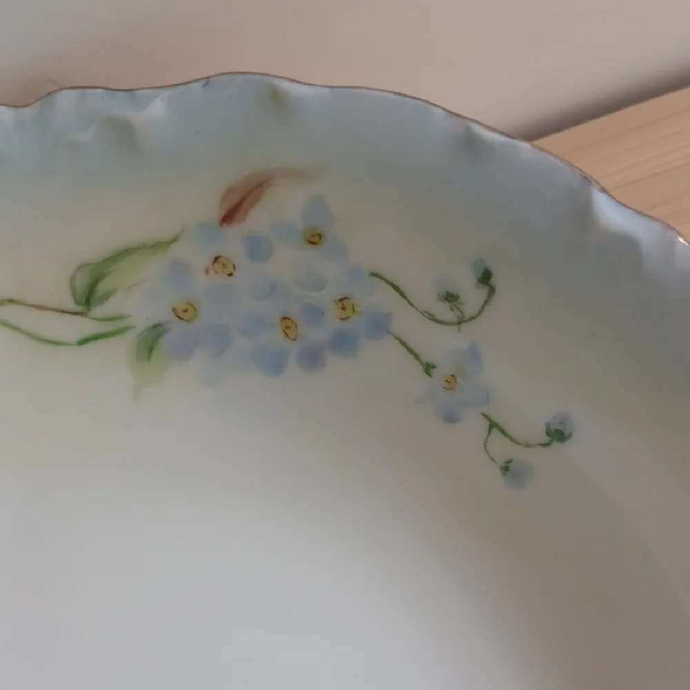 Rosenthal German Porcelain Bavaria Forget-me-nots Bowl 5.5